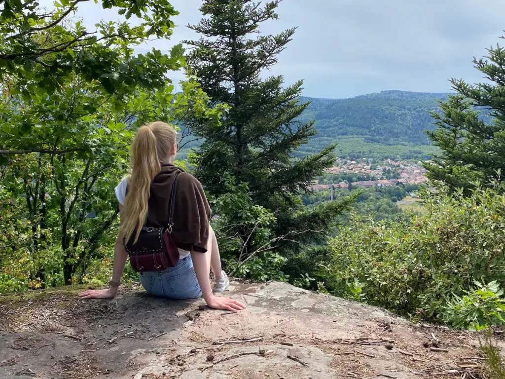 313bc4bd-f43d-49fa-91b1-ed6f8d2b2ff9