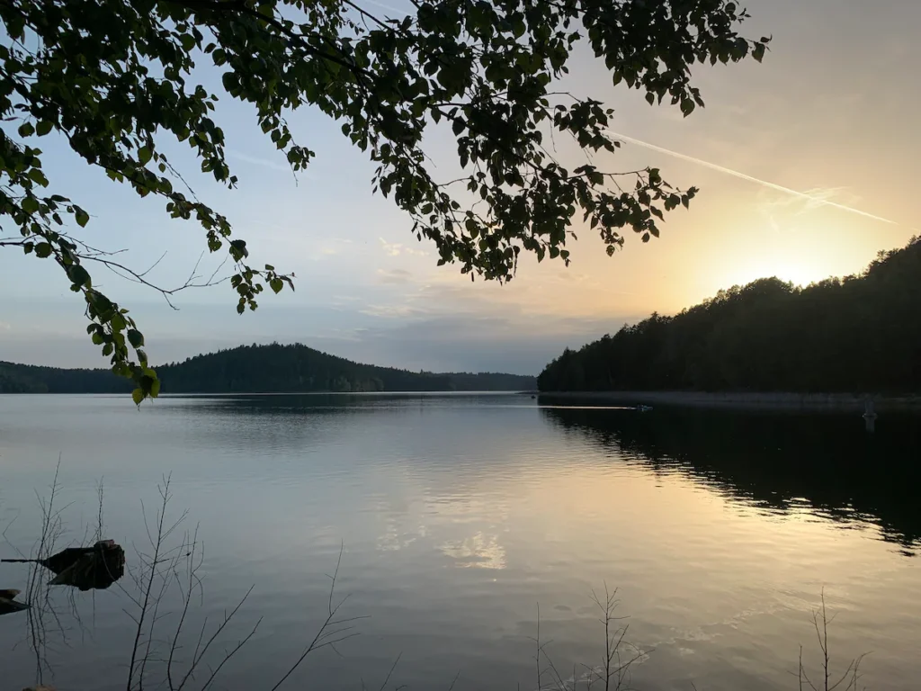 71cabb21-3aee-4dd6-8c3c-2afb7adb5eac