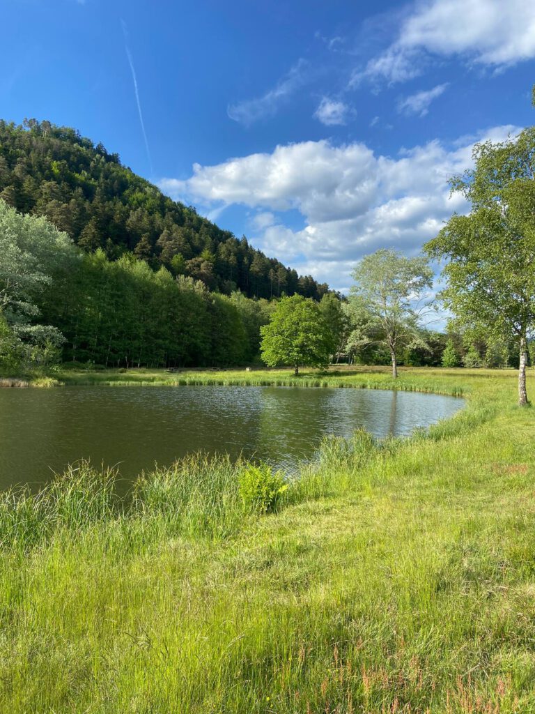 879c48c3-9806-4d4d-95e3-bf032bda0610